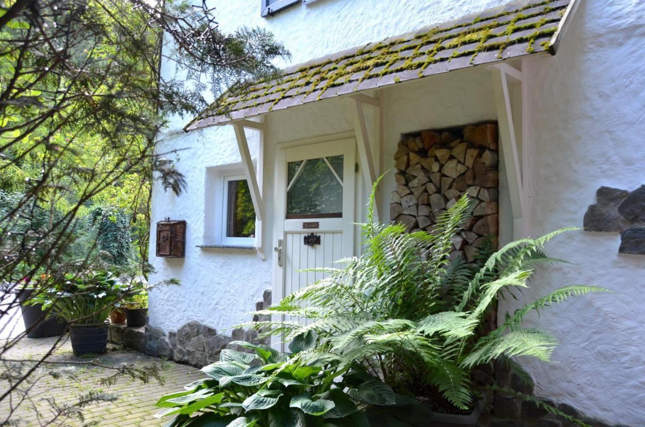 Birgits Landhaus Willingen فيلنغن المظهر الخارجي الصورة