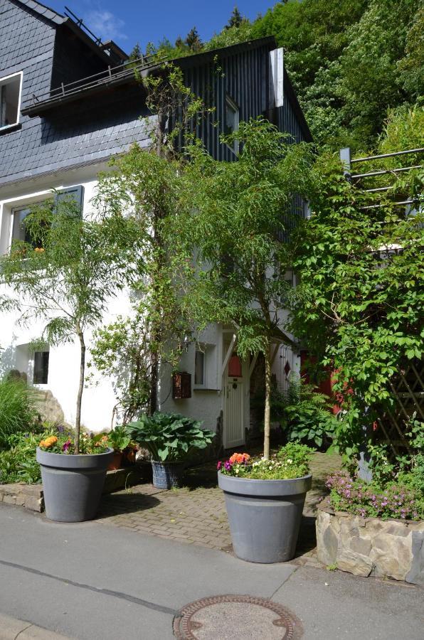 Birgits Landhaus Willingen فيلنغن المظهر الخارجي الصورة