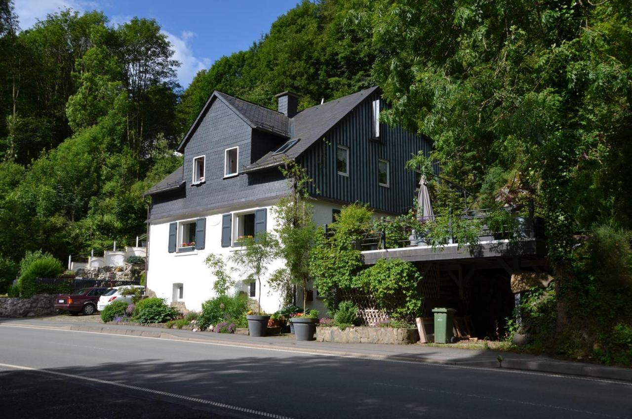 Birgits Landhaus Willingen فيلنغن المظهر الخارجي الصورة