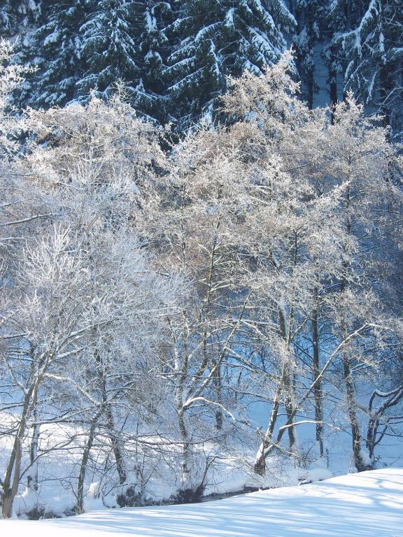 Birgits Landhaus Willingen فيلنغن المظهر الخارجي الصورة
